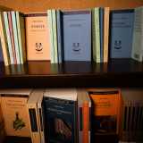 ...passando per autori pi� ricercati come H�lderlin, Tjutčev e Wilcock. Si fanno anche notare edizioni datate e introvabili e opere stampate da piccolissime case editrici, che qui diventano le vere protagoniste